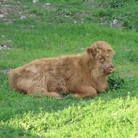 بيت ضيافة Biogasthaus Wanker Techelsberg