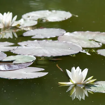 بيت ضيافة Biogasthaus Wanker 3*