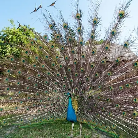 Biogasthaus Wanker بيت ضيافة 3*