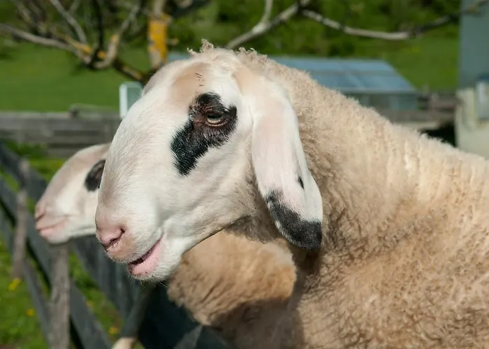 Biogasthaus Wanker Guest house 3*