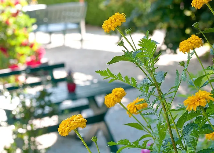 Biogasthaus Wanker Techelsberg