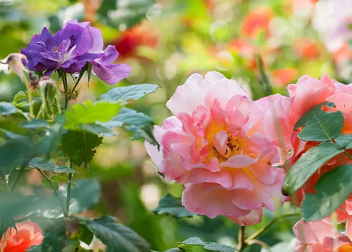 Guest house Biogasthaus Wanker 3*