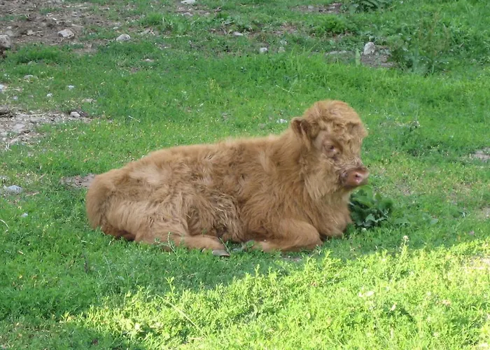 Gasthof Biogasthaus Wanker Techelsberg