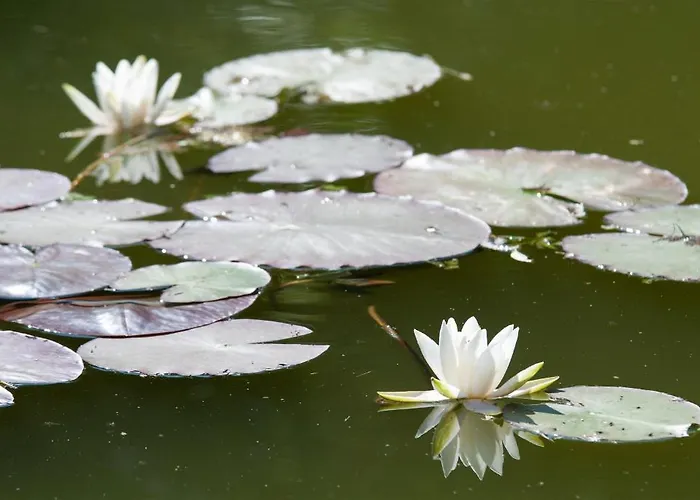 Guest house Biogasthaus Wanker 3*