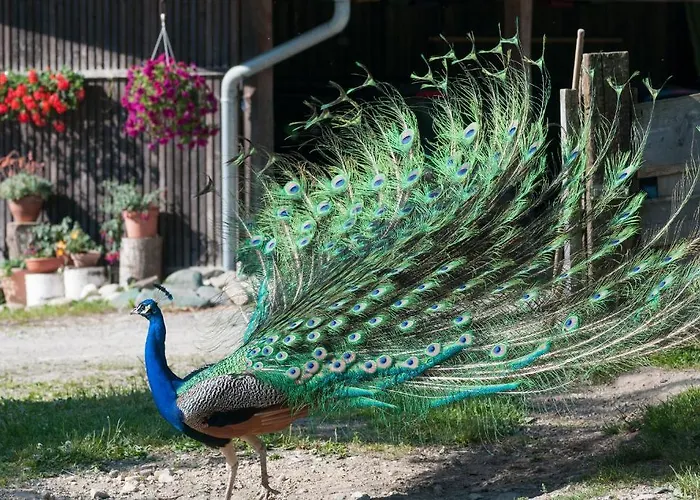 Biogasthaus Wanker Techelsberg